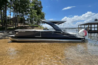 Bennington 25 RXSBA