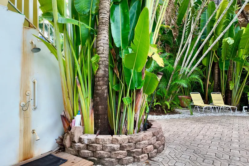 Amore Yacht Photos Pics Outdoor shower with tropical plants and lounge chairs, Catamaran Cruisers Aqua Cruiser 44, 1996.