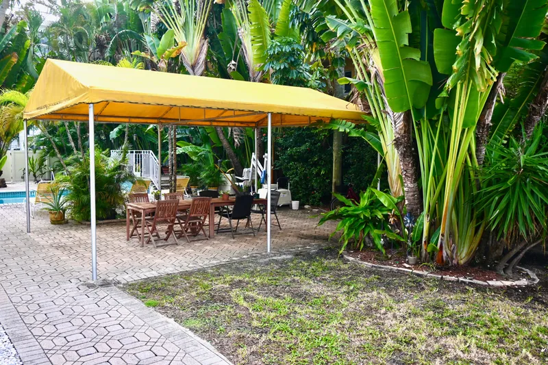 Amore Yacht Photos Pics Outdoor patio with yellow canopy, wooden furniture, surrounded by lush tropical plants.