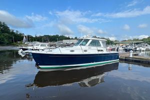 Back Cove 29