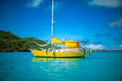 Sloop Steel 32
