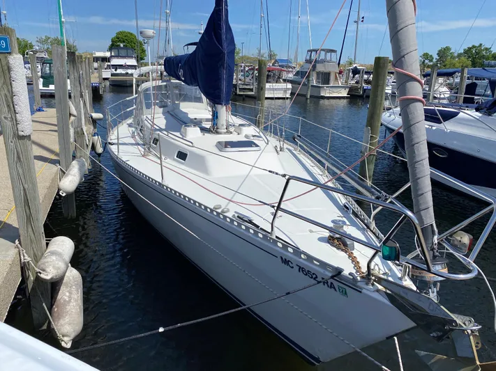 Jaywalker Yacht Photos Pics 