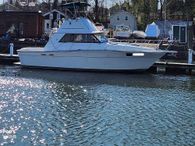 1981 Silverton Sportsfish/Convertible