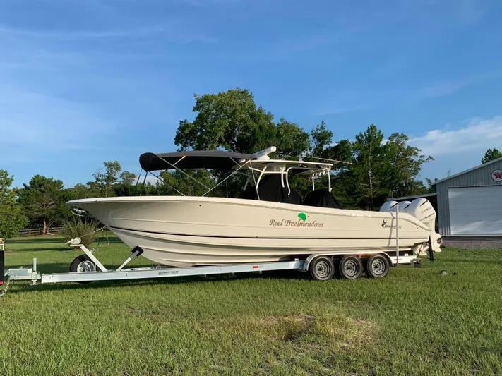 Reel Tree-mendous Yacht Photos Pics 