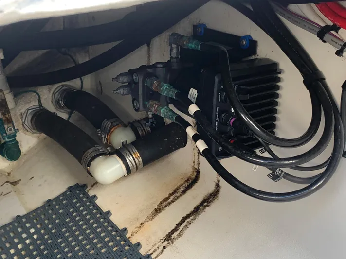 Reel Tree-mendous Yacht Photos Pics 