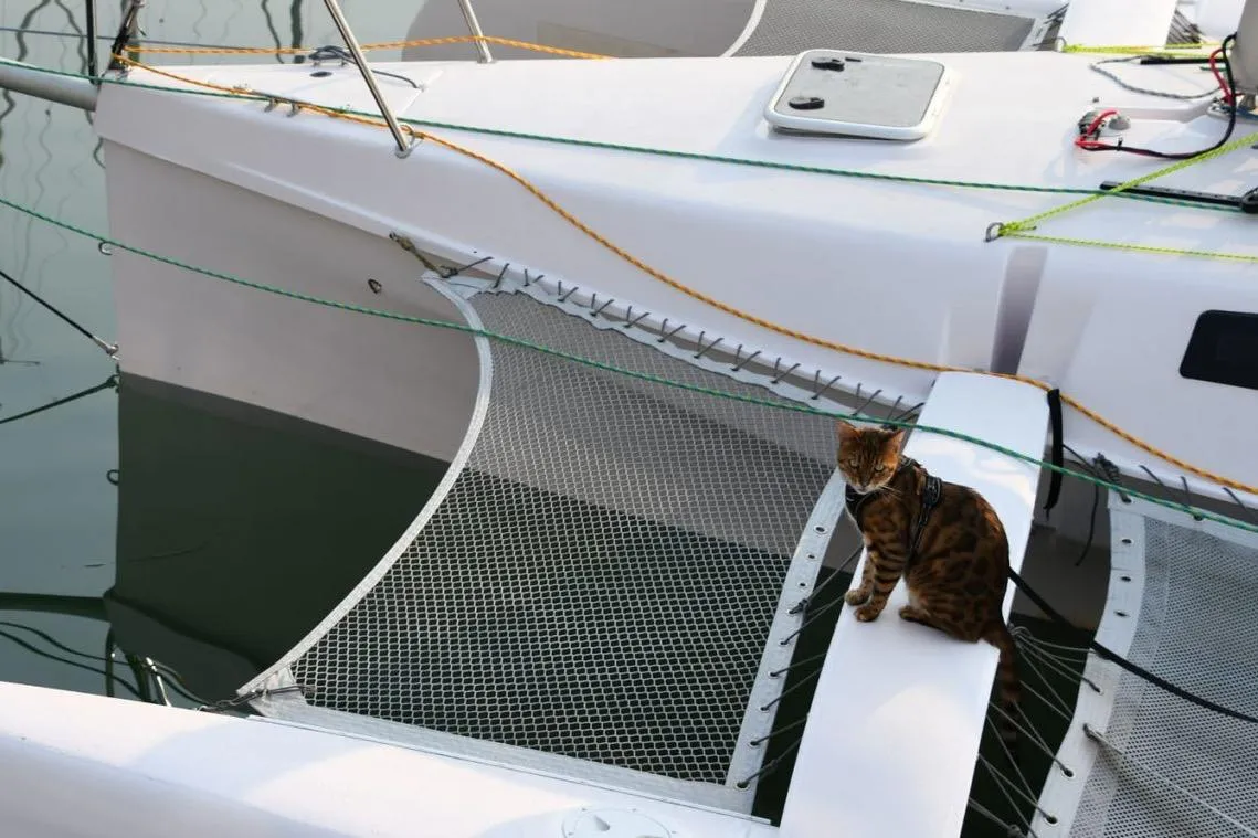 Cat sitting on Corsair 760 Dash trimaran, 2018 model, docked at marina.