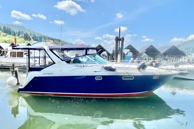 Custom Express Cruiser
