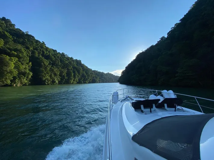  Yacht Photos Pics 2007 Sea Ray 52 Sedan Bridge cruising through scenic river canyon.