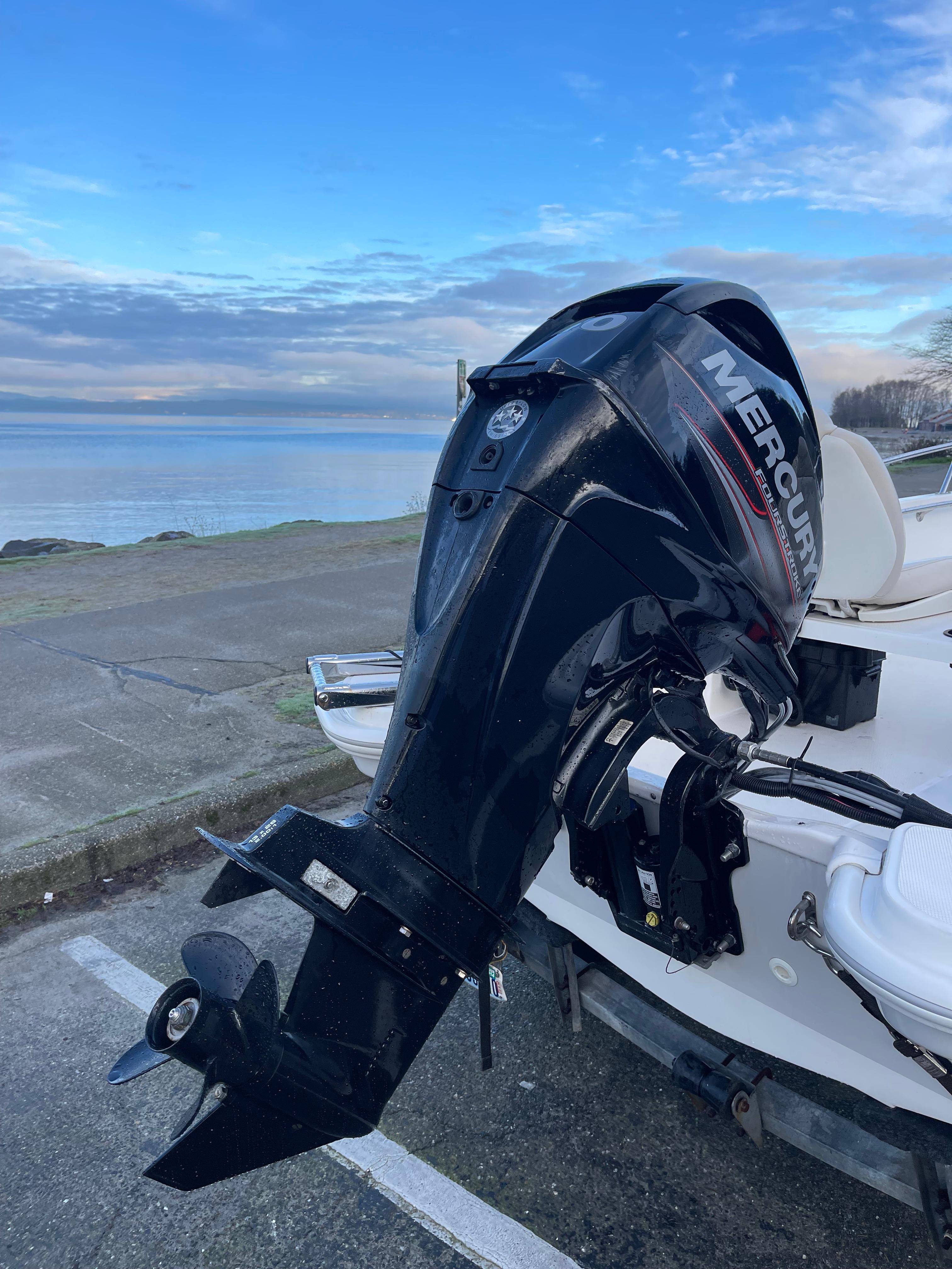 2019 Boston Whaler 130 Super Sport Runabout for sale - YachtWorld