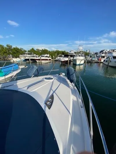  Yacht Photos Pics 2009 Meridian 391 Sedan yacht docked in a marina under clear blue skies.