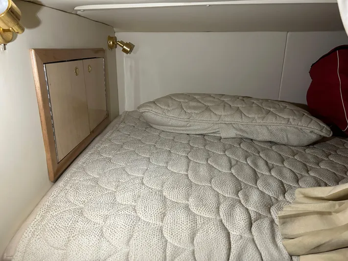 Zip It Yacht Photos Pics 