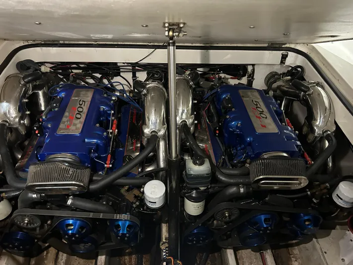 Zip It Yacht Photos Pics 