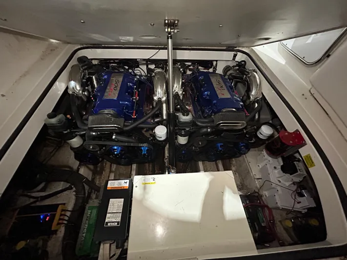 Zip It Yacht Photos Pics 