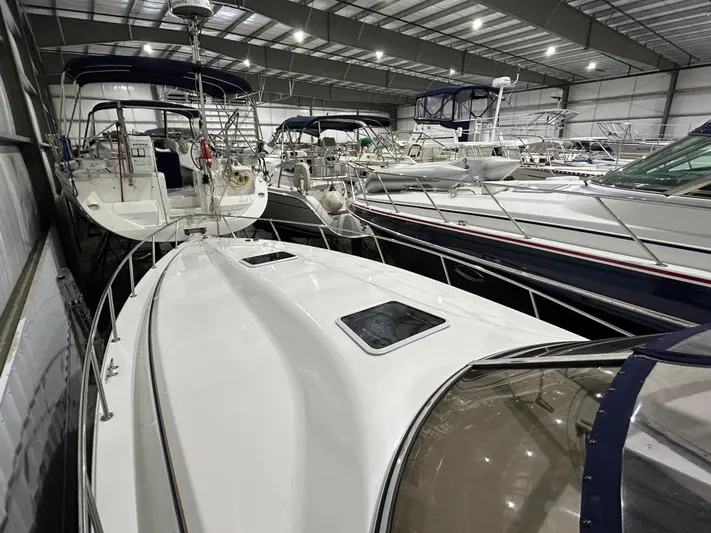 Zip It Yacht Photos Pics 