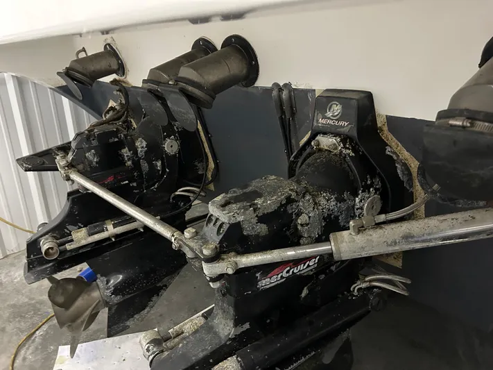 Zip It Yacht Photos Pics 