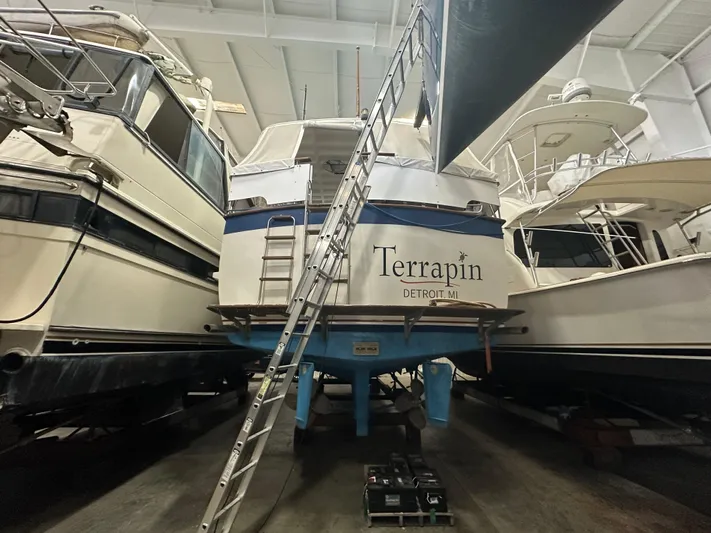 Harborview Yacht Photos Pics 