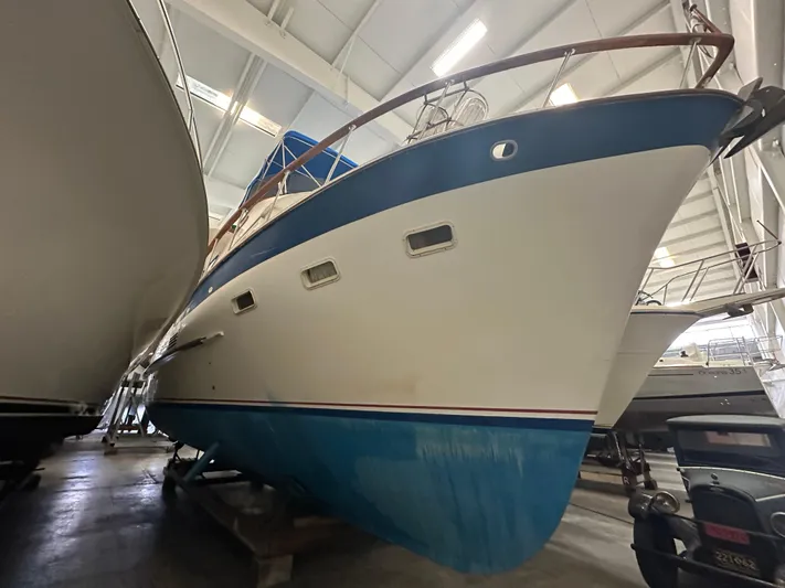 Harborview Yacht Photos Pics 