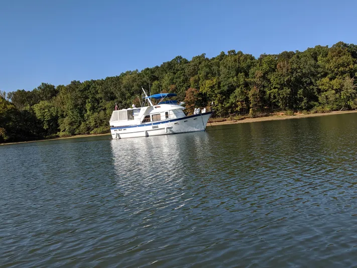 Harborview Yacht Photos Pics 