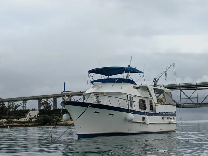 Harborview Yacht Photos Pics 