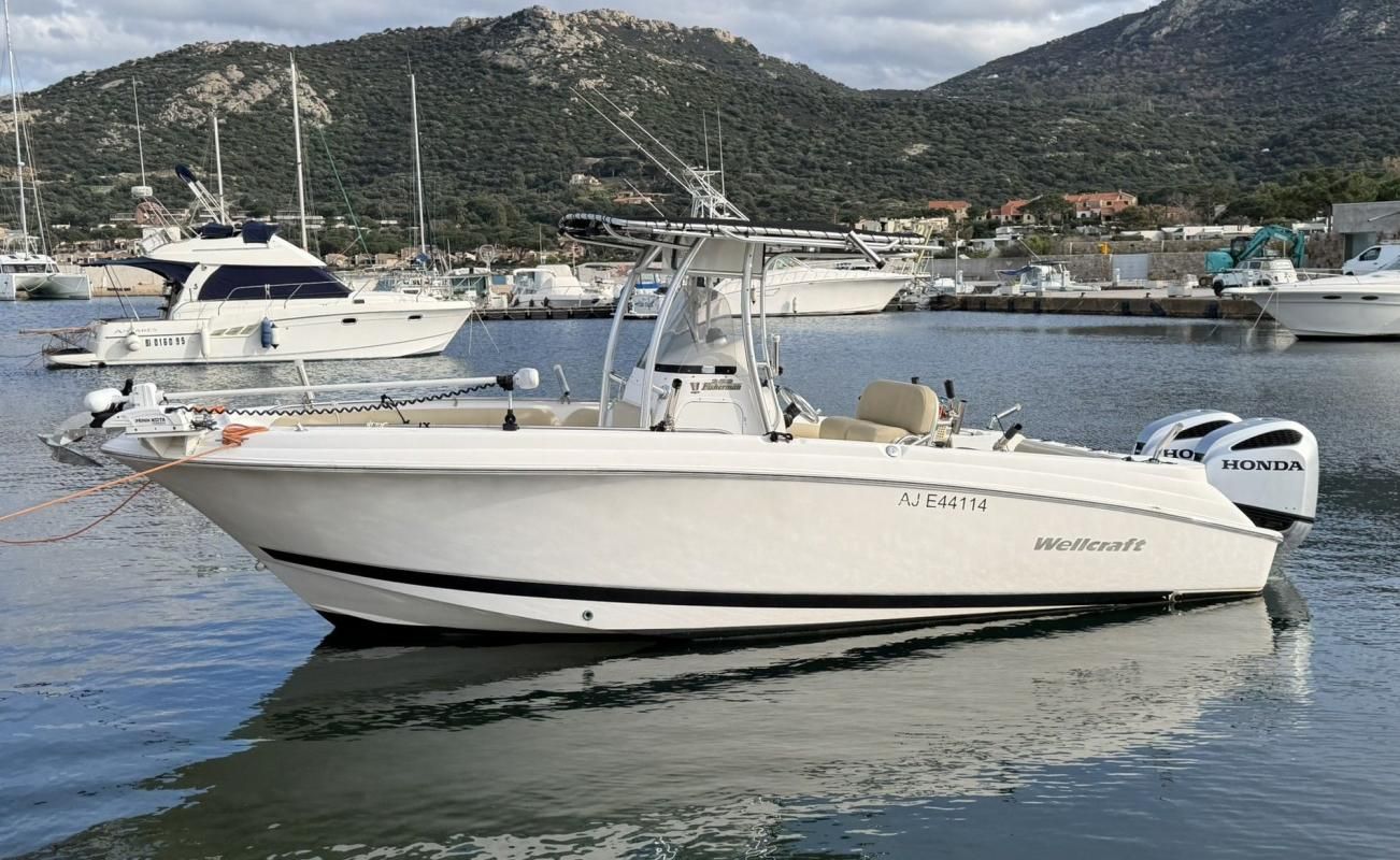 2005 Wellcraft 252 Fisherman