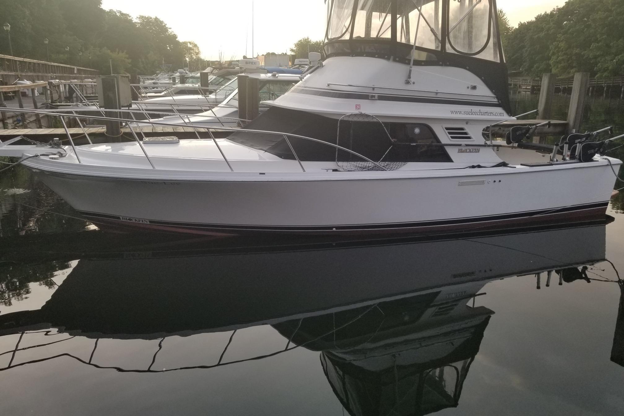 1990 Blackfin 29 Sportfish Flybridge for sale - YachtWorld