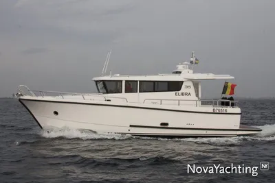 Sargo 36