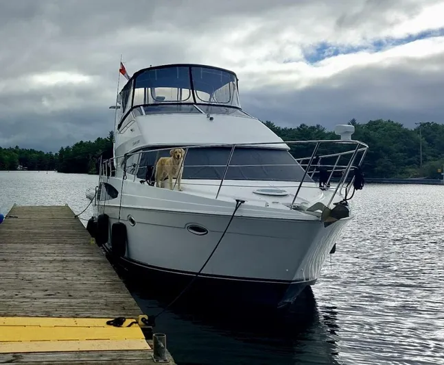  Yacht Photos Pics 2005 Carver 38 Super Sport yacht docked with a dog on deck.