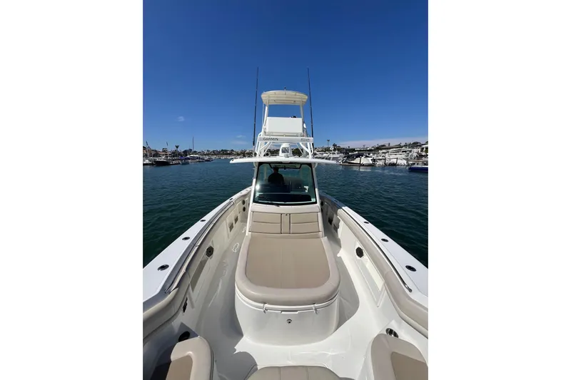 M22 Yacht Photos Pics 2019 Boston Whaler 380 Outrage boat on calm water under clear blue sky.