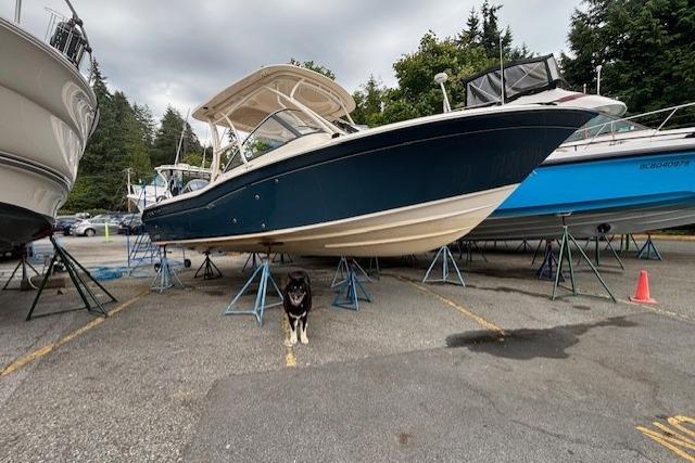 Grady-White Freedom 255