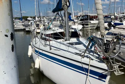 1998 Wrighton biloup 77nv