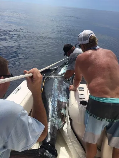 Get Reel Yacht Photos Pics 