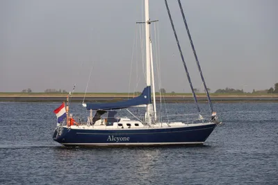 Koopmans 40