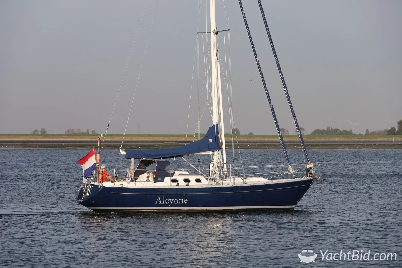 1998 Koopmans Koopmans 40