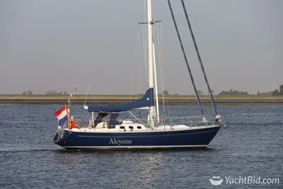 1998 Koopmans Koopmans 40