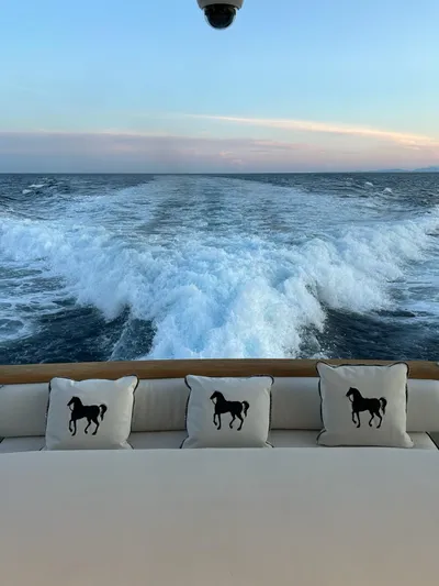  Yacht Photos Pics Mondomarine Custom 1995 yacht with ocean view and horse-themed cushions.