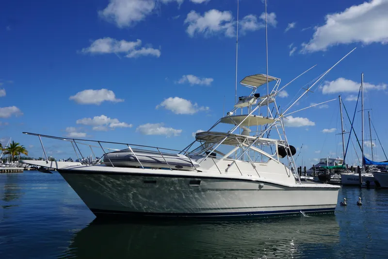 Commitment Yacht Photos Pics 