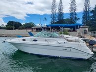 1996 Sea Ray 270