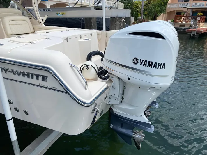 New Yacht Photos Pics 