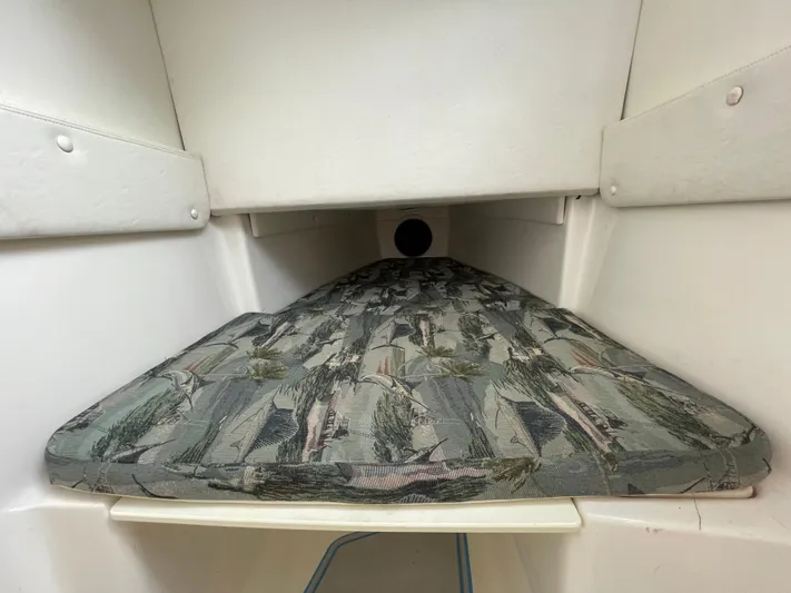 Intensity 2 Yacht Photos Pics 2015 Century 2901 Center Console cabin interior with patterned cushion.