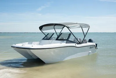 ArrowCat 20DC