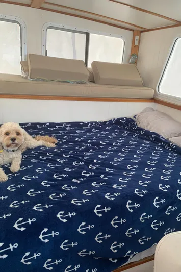 Lazy Days Yacht Photos Pics Cozy boat interior with dog on anchor-patterned blanket, Great Harbour GH37, 2005.