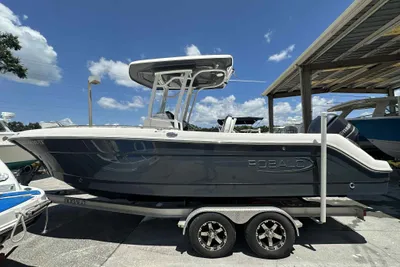 Robalo R242