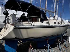 Caliber 35