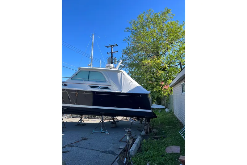 Hannah E Yacht Photos Pics 2015 Back Cove 30 boat on stands, surrounded by trees and clear blue sky.