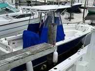 2017 Sea Born LX24 w 100 HRS and TRAILER