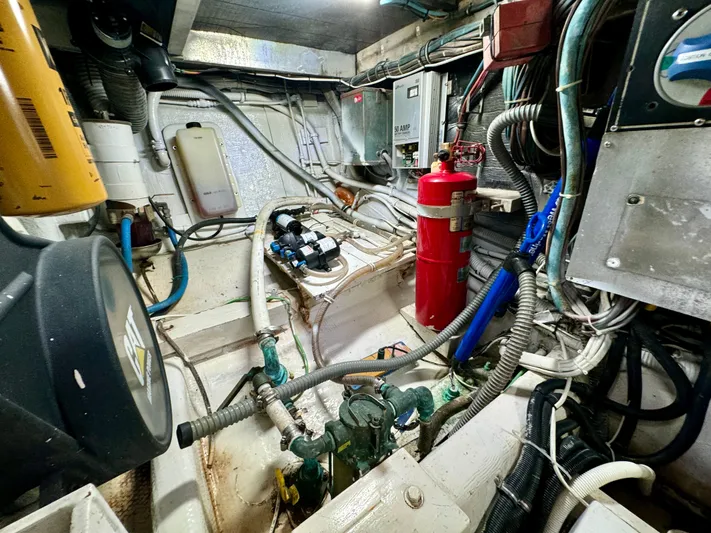 Reel Amnesia Yacht Photos Pics 