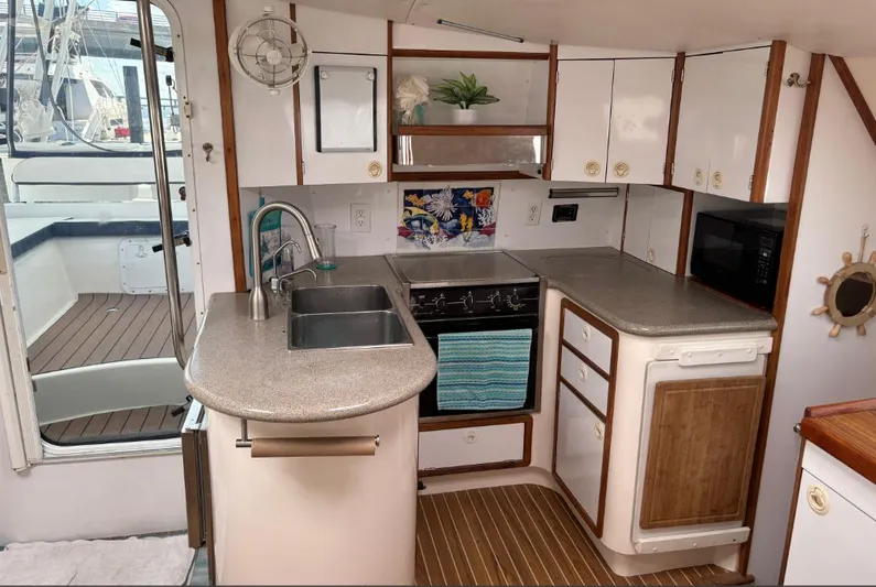 Turtle Speed Yacht Photos Pics 