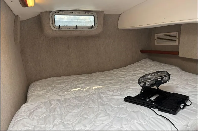 Turtle Speed Yacht Photos Pics 