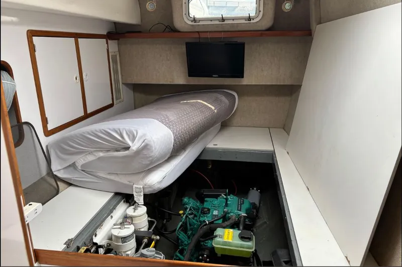 Turtle Speed Yacht Photos Pics 