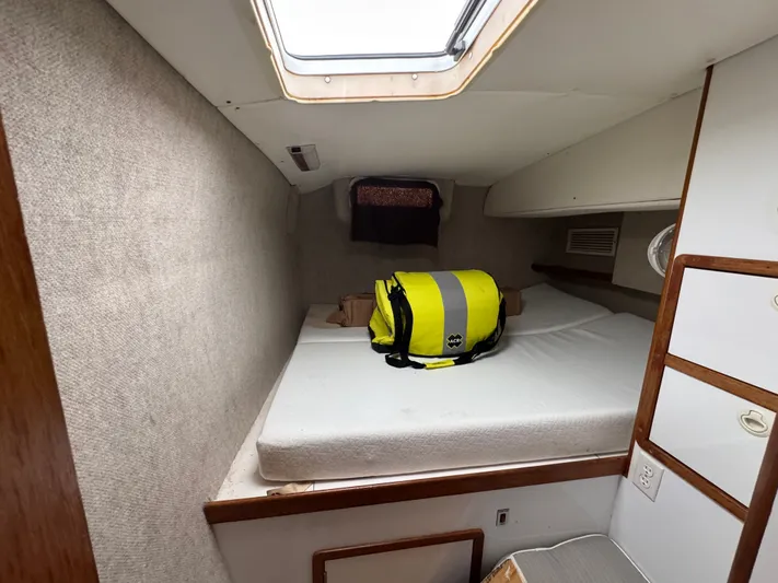 Turtle Speed Yacht Photos Pics 